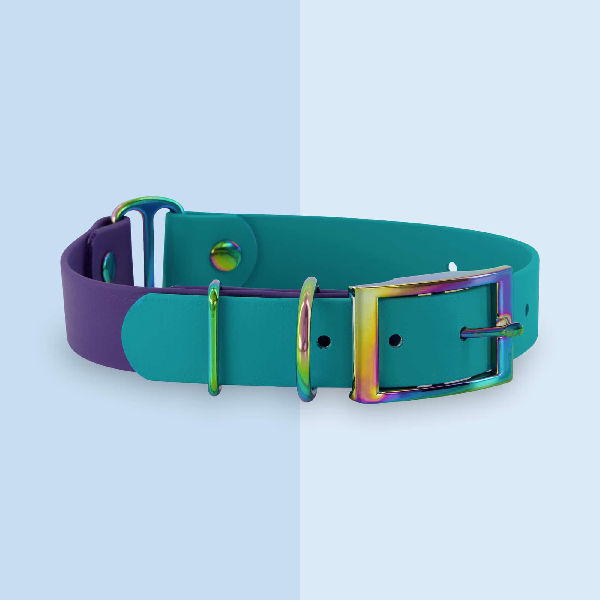 Green and purple dog collar