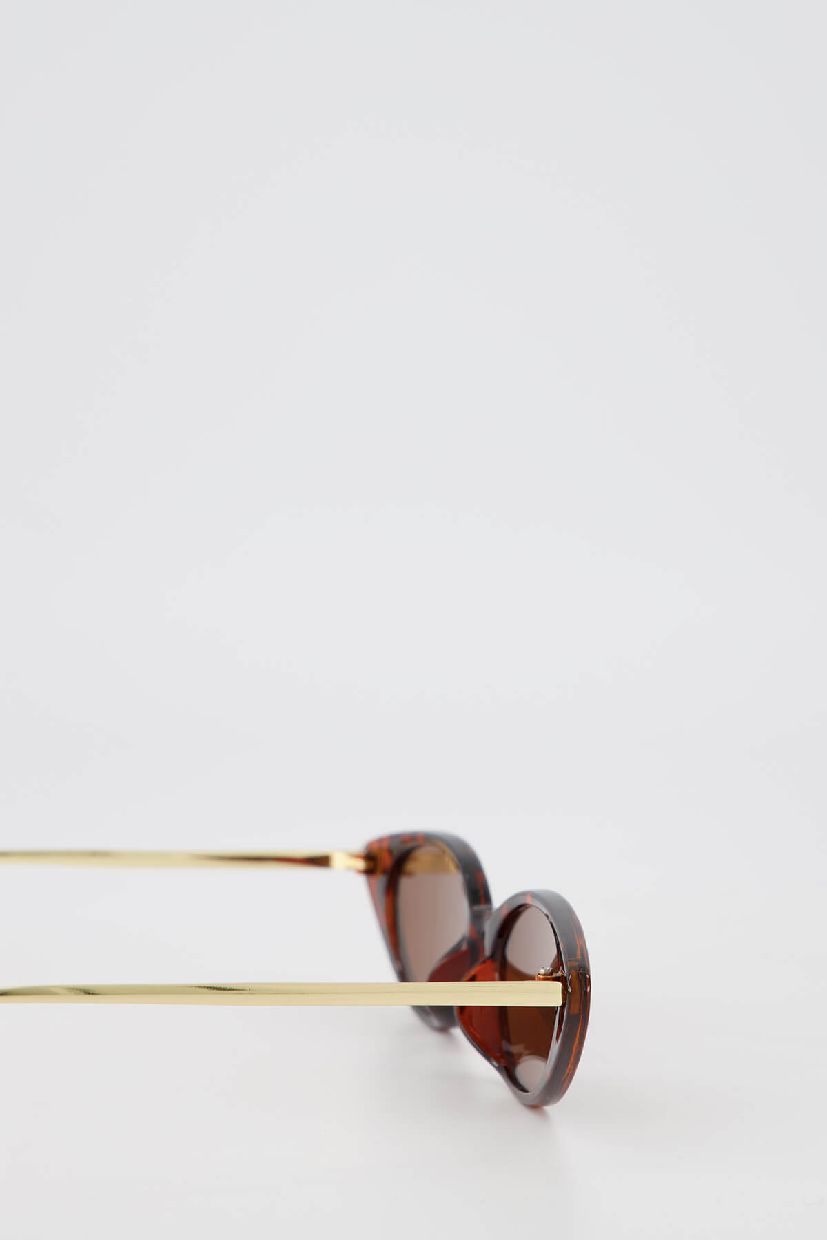 Sunglasses gold and brown product photography in studio Auckland